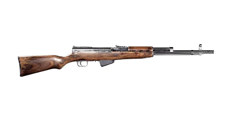 SKS marksman rifle in WARDOGS